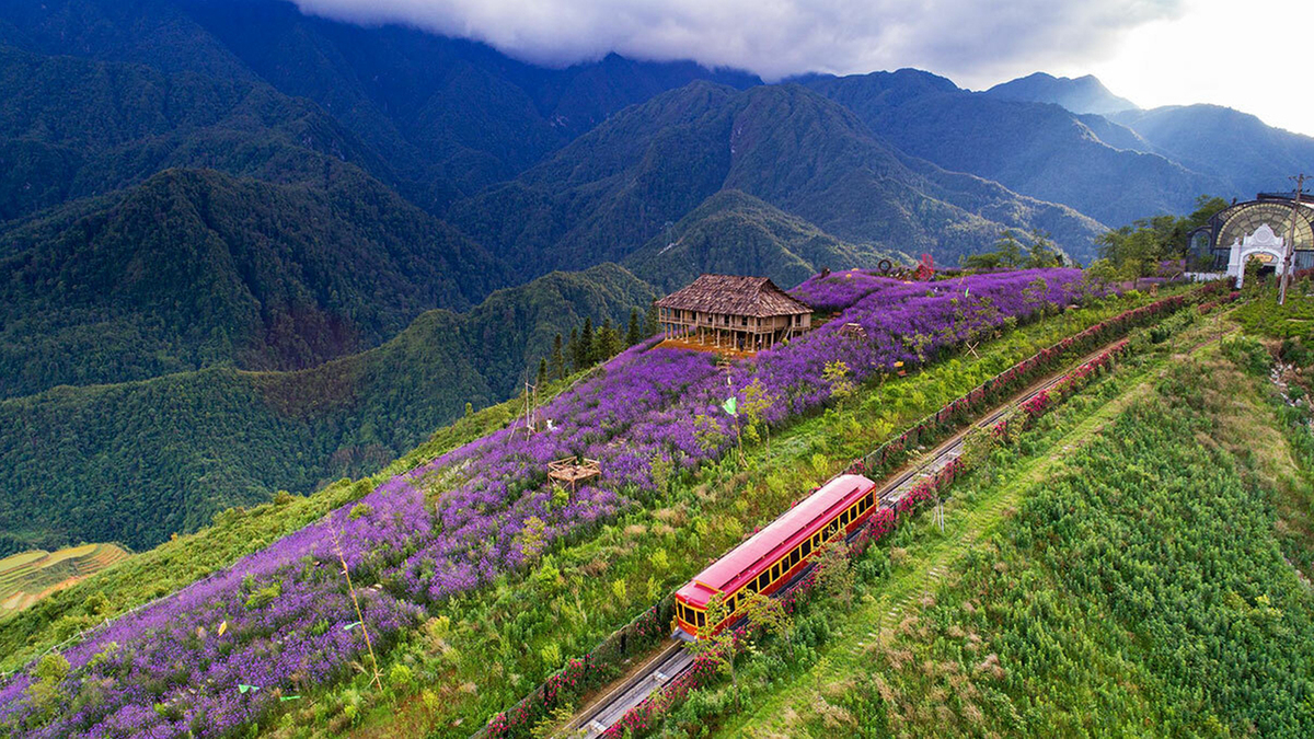 Chi phí du lịch Sapa tự túc 2026