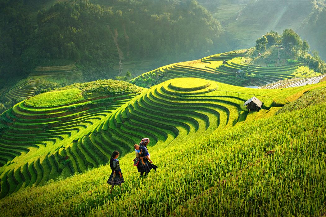 Ruộng bậc thang Hà Giang trong lịch trình 4 ngày 3 đêm