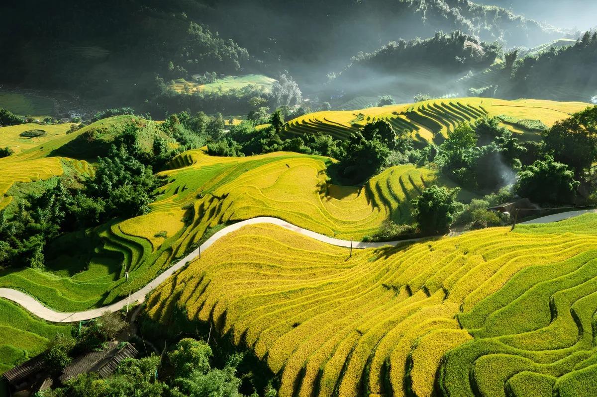 Ruộng bậc thang Tả Van Lao Chải trong lịch trình Sapa